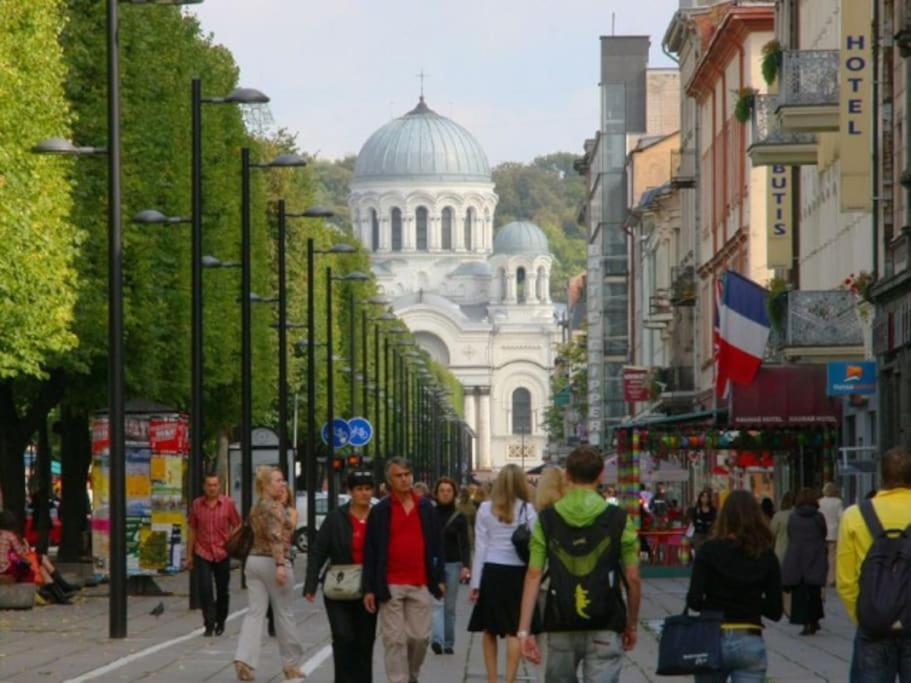 Modern Flat In Old Town Kaunas - Free Parking & Self Check-In ภายนอก รูปภาพ